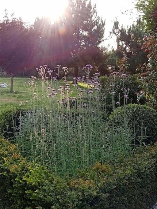Le Clos Des Marronniers Ecques Exteriér fotografie